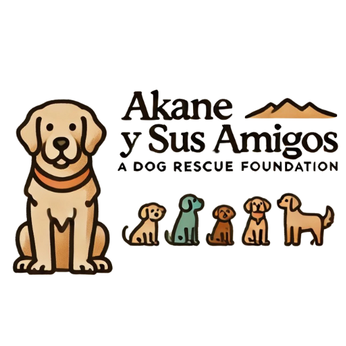 Akane y sus amigos