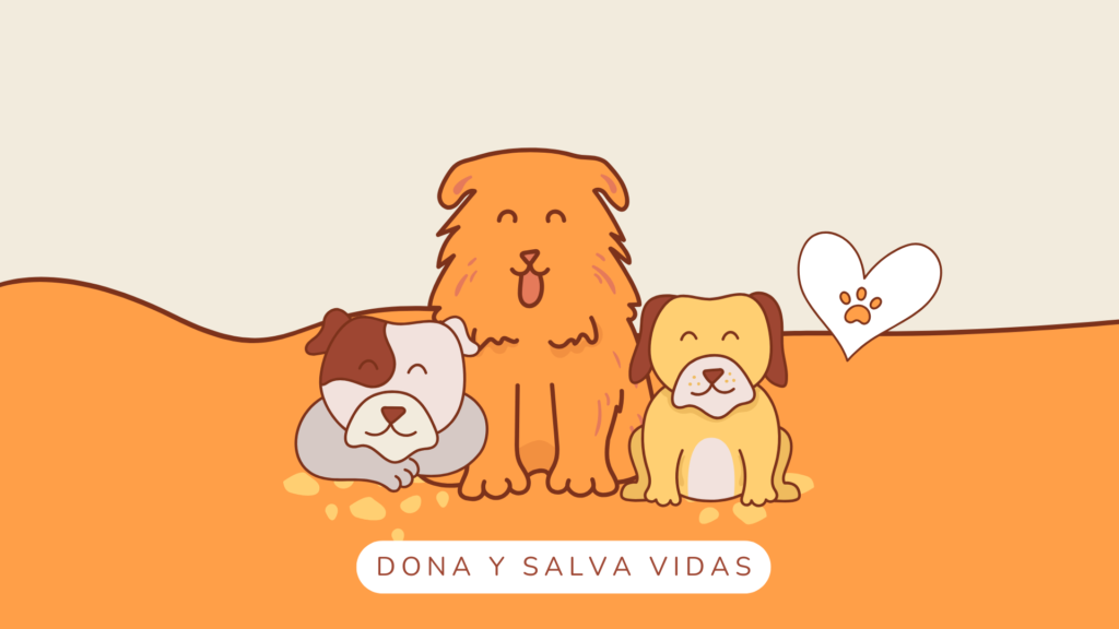 Brown Cute Illustration Pet Care Service Presentation